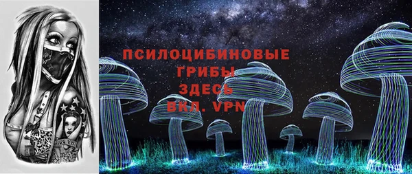соль курить ск Белокуриха