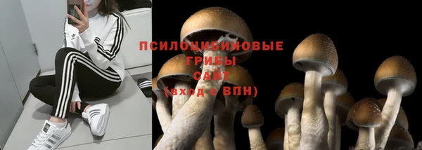 COCAINE Белоозёрский