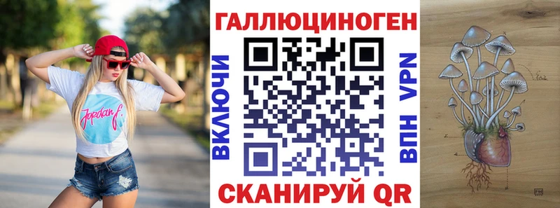 hydra ссылка  где продают наркотики  Гай  Псилоцибиновые грибы мухоморы 